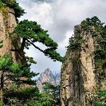 温柔的火苗