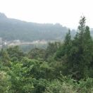 元元pi海报