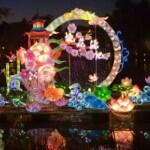 龙江♬阿亮