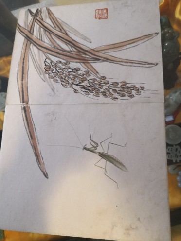 🌟瞎串串主播照片