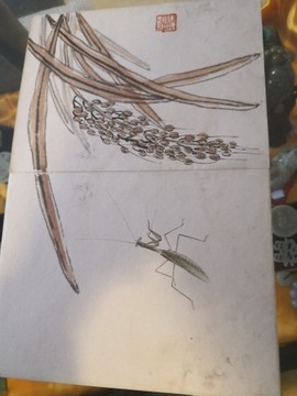 🌟瞎串串主播照片