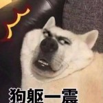 阿拉斯加自闭了！