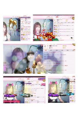 一只雁~主播照片