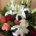 🌹山花🌹的头像
