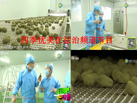 人生闲谈主播照片