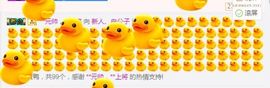 白公子退下了愿君安好主播照片