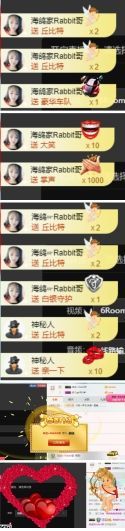 海鸽休息几天主播照片