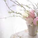 芳芳dip海报