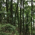 听众，d海报