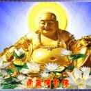 随缘bdd