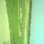 🐑羊羊海报