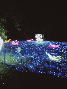 雨花姐主播照片