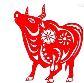 山水之间O_o主播照片