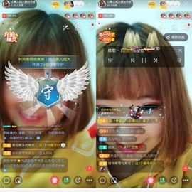 一只雁~主播照片