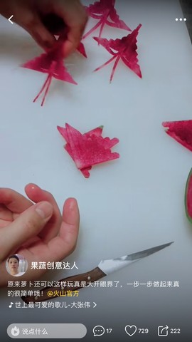 宇宙崐鹏鴇汤商甑羝鸟主播照片