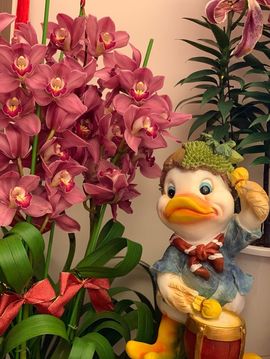 🎙千千👑紫霞殿主播照片