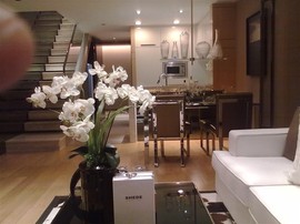 cailu81主播照片