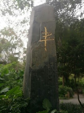 1221IL主播照片