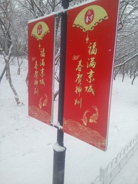 沙漠英雄《无与伦比》主播照片
