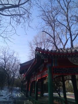 沙漠英雄《无与伦比》主播照片