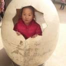 快乐宝贝j*w