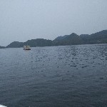 飘飘鬼海报