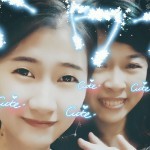 冰心淡雅