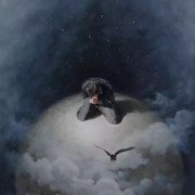 泛涟漪