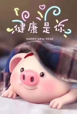 一只雁~主播照片