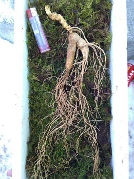 埊城小中医主播照片