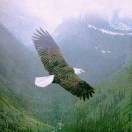 chitnaing2