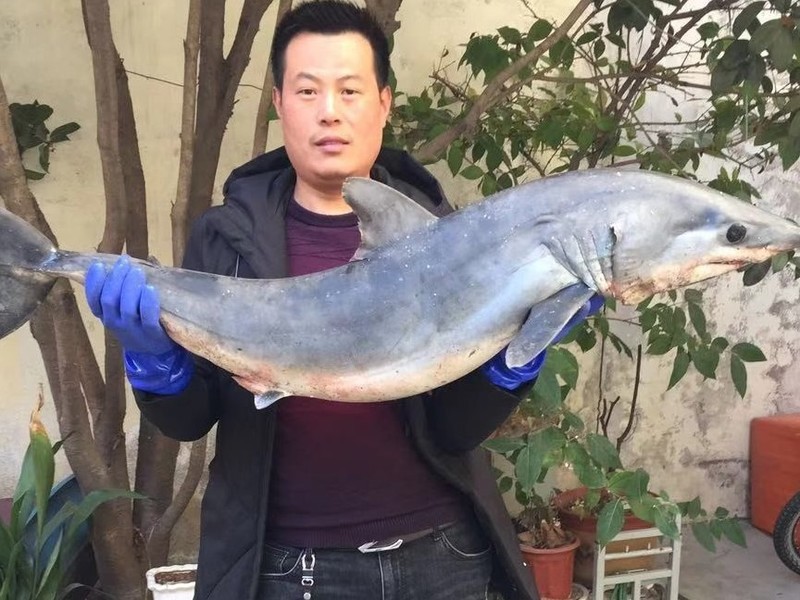 哥是传说中的主播海报