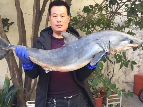 哥是传说中海报