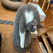 从小就很帅，