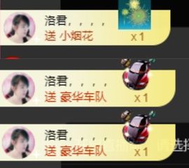 海鸽晚上见主播照片
