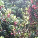 2默8号的主播照片