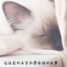 M$i*的头像