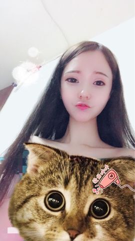 🐱🐱猫主播照片