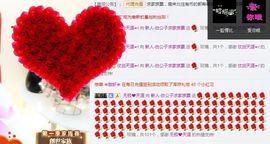 白公子退下了愿君安好主播照片