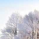 jiahuiw海报