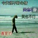 少年与梦fv海报