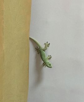 牛七牛💗求守护主播照片