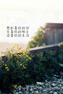 ♬默默✨小蛮宝☞🌜主播照片