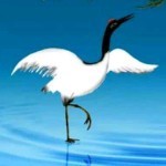 乐渔者38fkmu海报
