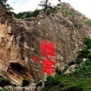 闭嘴！说的就是你！