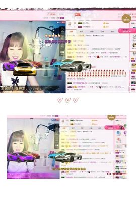 一只雁~主播照片