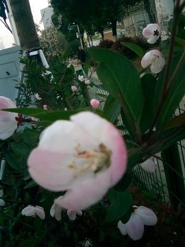 梦💞洁主播照片