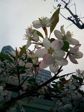 梦💞洁主播照片
