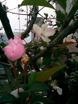 梦💞洁主播照片