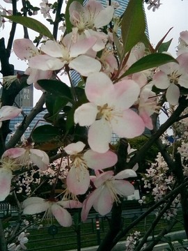 梦💞洁主播照片